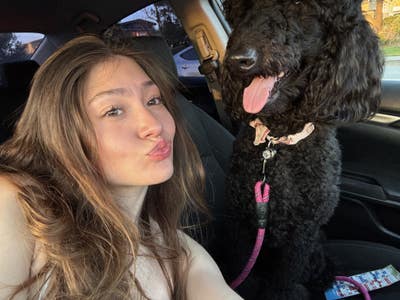 Room wanted in Purchase, NY Main Photo