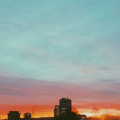 Room wanted in NYC Main Photo