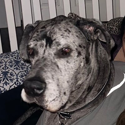 Female looking for a room in Los Angeles now Main Photo