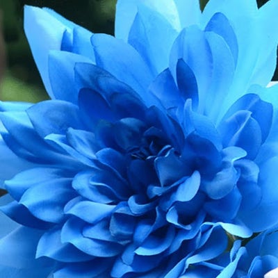 Room wanted in NYC Main Photo