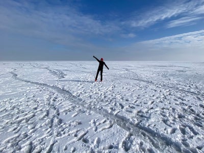 Room wanted in Boston Main Photo