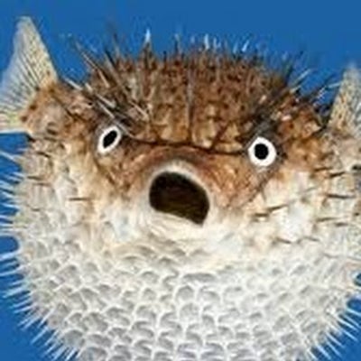 Room wanted in Philadelphia Main Photo