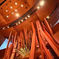 Room wanted in Philadelphia Main Photo