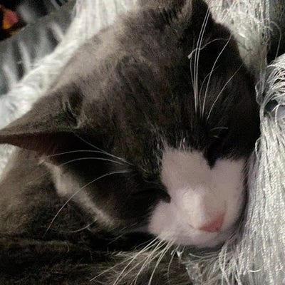 Room wanted in Union City, NJ Main Photo