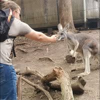 Responsible male looking for a room in Torrance Main Photo