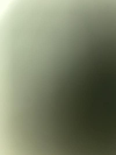 Room wanted in Charlotte  Main Photo