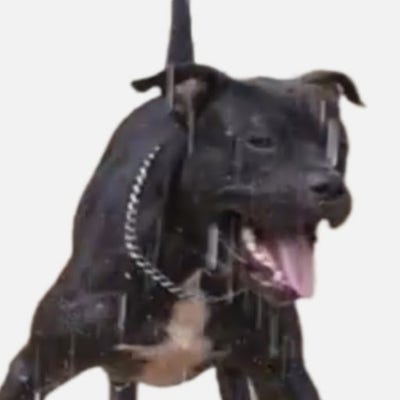 Room wanted in Irving, TX Main Photo