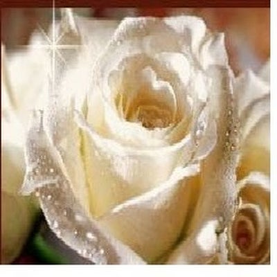 Room wanted in Virginia Beach Main Photo