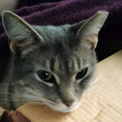 Room wanted in San Antonio Main Photo