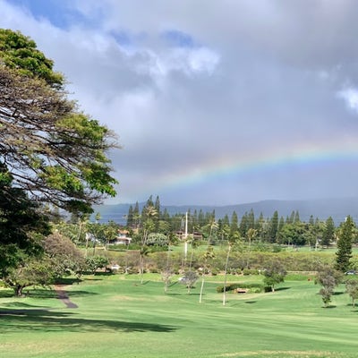 Reliable female needs a room in Burbank now Main Photo