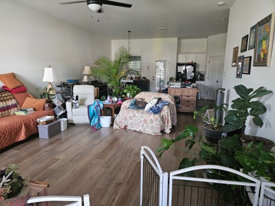 Looking for roommate Main Photo