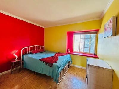Beautiful Comfy Room in a Great Beautiful House @ Main Photo