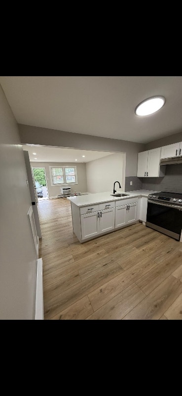 Beautiful Newly Renovated 1 Bedroom Apartment! Main Photo