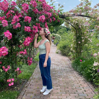 Room wanted in New York City Main Photo