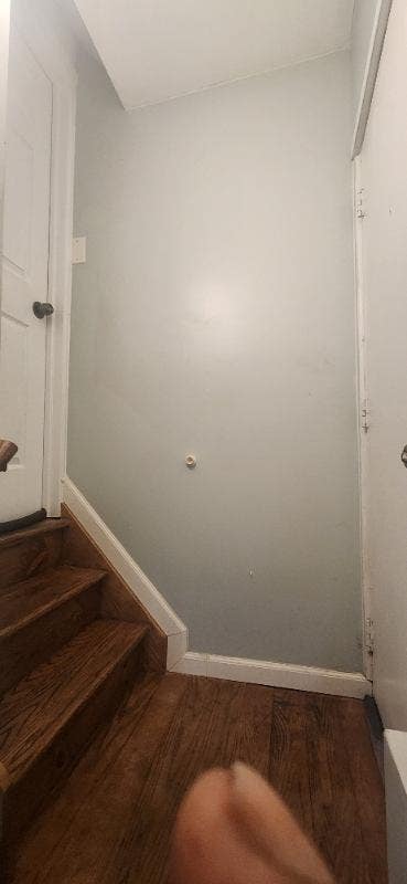 Charming 1 Bed Bath Basement apartment in Laurelto Main Photo