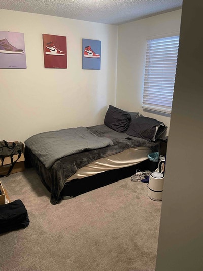 Seeking a Male Roommate for House Main Photo