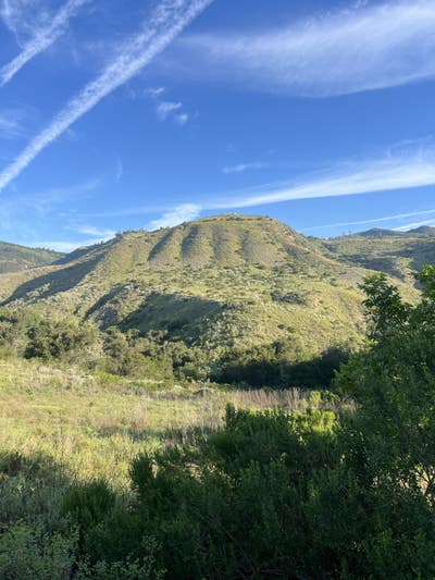 Student looking for a room in Costa Mesa Main Photo