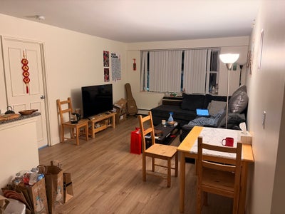 Dexter Park room near BU campus  Main Photo