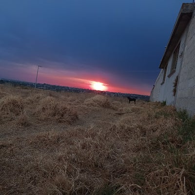 Room wanted in Charlotte, Mecklenburg County, NC Main Photo