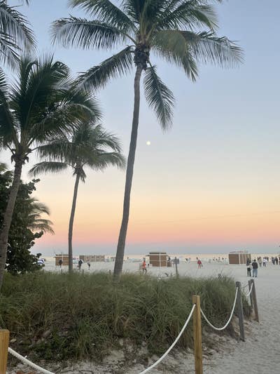 Room wanted in Lexington Main Photo