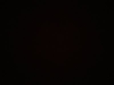 Room wanted in New York Main Photo