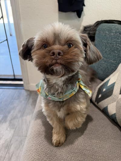 33 year old woman looking for a room in LA Main Photo