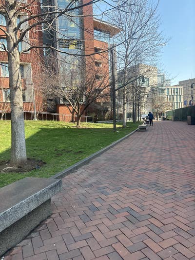 Room wanted in University City, PA Main Photo