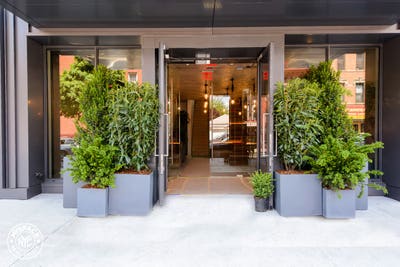 Sunny Crown Heights 1 Bedroom  Main Photo