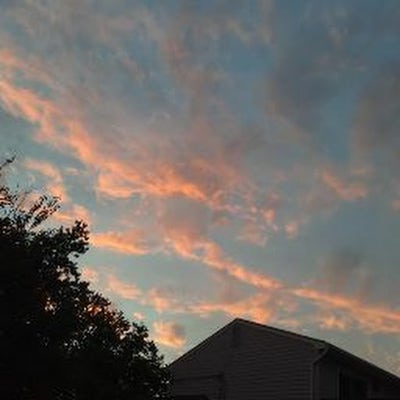 Room wanted in New Jersey Main Photo