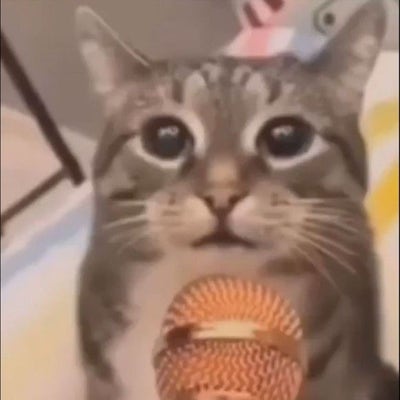 Room wanted in Riverside, CA Main Photo