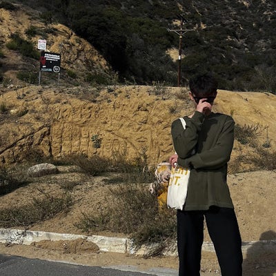 Room wanted in New York Main Photo