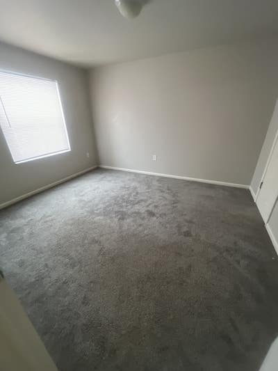 Need roommate!  Main Photo