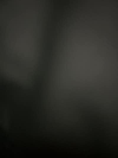 Female worker looking for Santa Clara room Main Photo