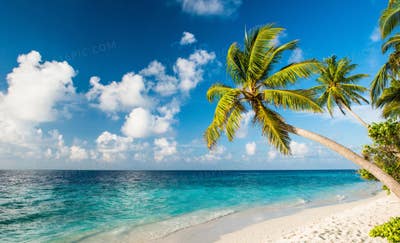 Room wanted in NYC Main Photo