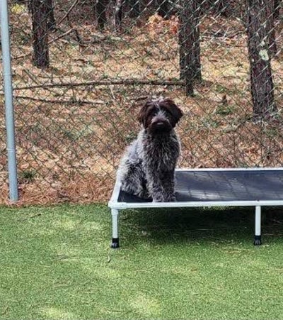 Room wanted in Boston, MA Main Photo