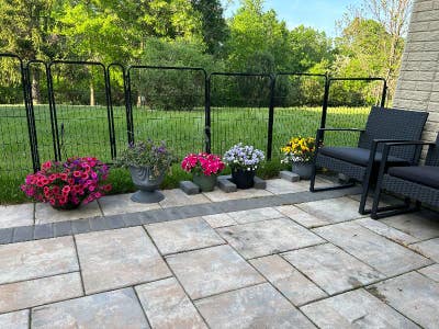 Spacious Walkout Suite Main Photo