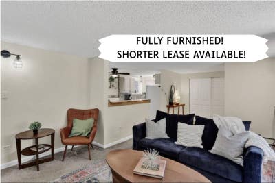 Fully FurnishedCozy Condo in Heart of Lakewood Main Photo