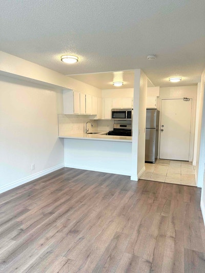 Beautifully Remodeled 1 BR apartment near Silver l Main Photo