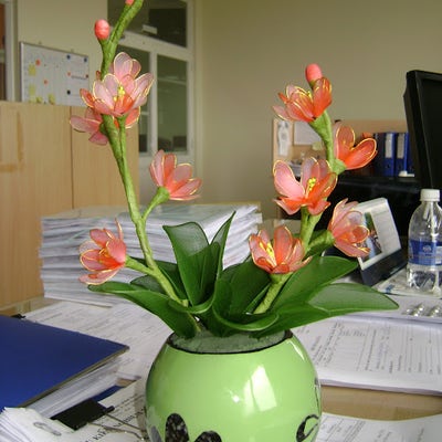 Student looking for a room in Baldwin Park Main Photo