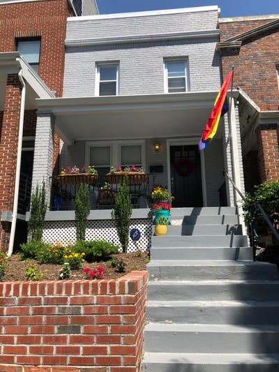 Gorgeous English Basement with Natural Light! Main Photo