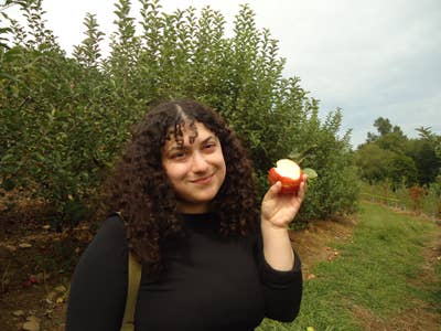 Room wanted in NYC Main Photo