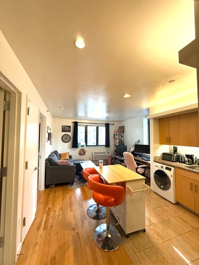 1 Bedroom Full Apartment Sublet LES  Main Photo