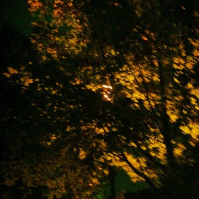 Room wanted in NYC Main Photo