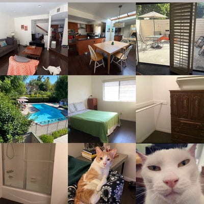 Roommate for  3 Bedroom Tarzana Townhouse Main Photo