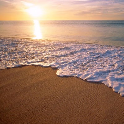 Room wanted in Mesa, AZ Main Photo