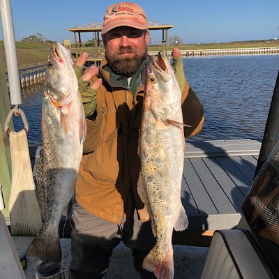 Room wanted in Houston, TX Main Photo