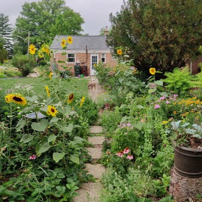 Room in Cottage. 2min to hwy, 8min walk to Metra. Main Photo