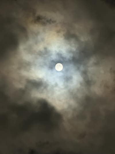 Student looking for a room in Orange to rent Main Photo