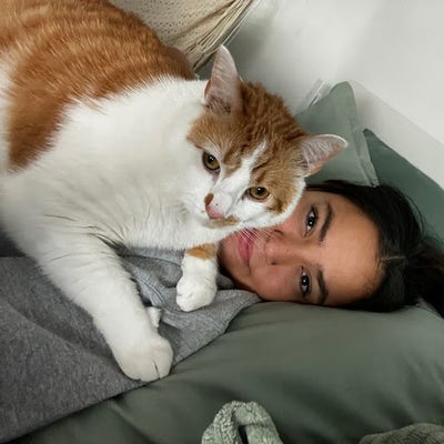 Room wanted in Englewood, CO Main Photo