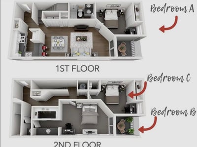 3x2 Apartment for summer term available Main Photo